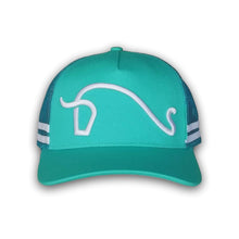 Load image into Gallery viewer, Southern Series Trucker Cap
